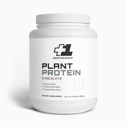 Plant Protein (Chocolate)